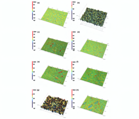 嵌段共聚物共聚焦显微镜扫描三维图像