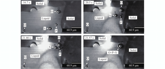 共聚焦显微镜观察到钢−渣界面处的夹杂物聚合