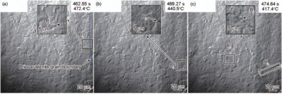 铁素体耐热钢粗晶热影响区(CGHAZ)冷却过程中贝氏体板条长大过程的CSLM像