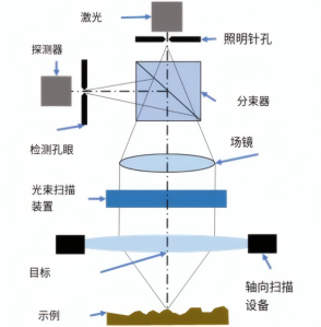 共聚焦显微镜的工作原理和配置