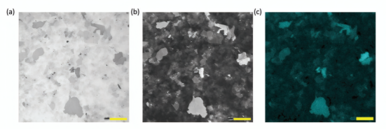 氧化石墨烯（GO）薄片