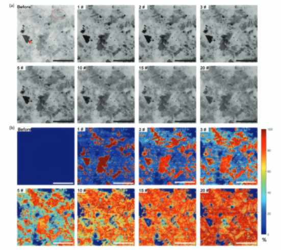 不同次数激光缩减扫描后获得的代表性透射模式图像