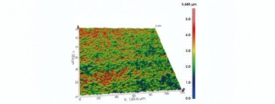 用共聚焦显微镜采集的三维图像实例
