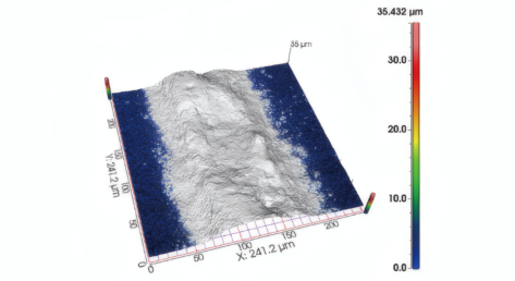 共聚焦显微镜成像