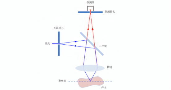 共聚焦显微镜原理