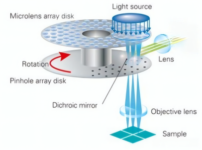 转盘共聚焦显微镜