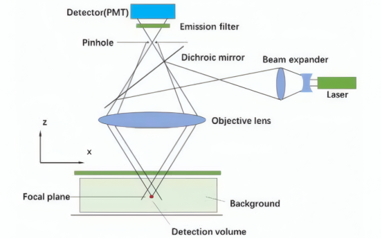 共聚焦显微镜系统的光学成像原理