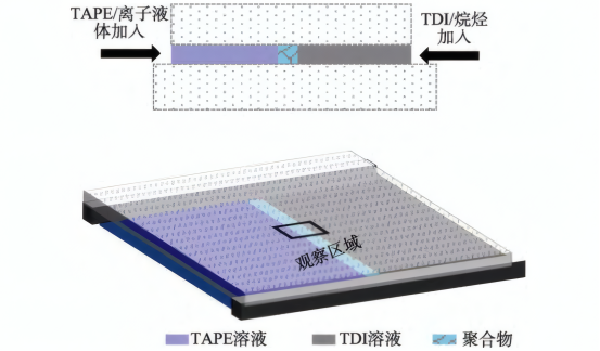 自制界面聚合原位观测反应装置示意图