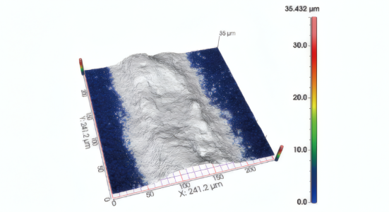 共聚焦显微镜成像