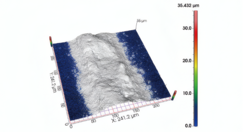 共聚焦显微镜观测的三维成像