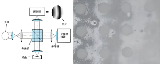 白光干涉仪原理和黑白图像.png