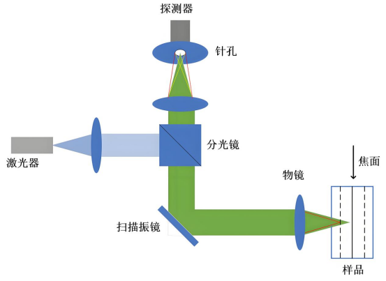 共聚焦显微镜原理.png