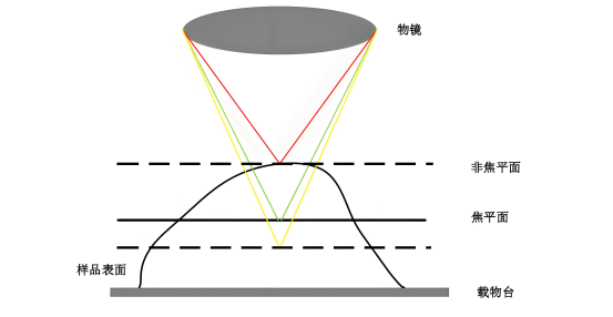 共聚焦显微成像.png