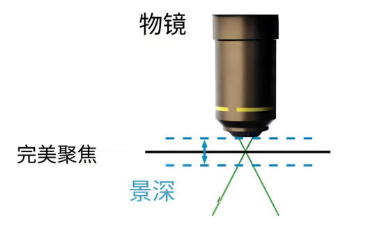 显微镜焦深.png 显微镜焦深.png