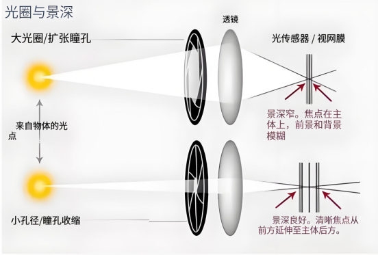 显微镜光圈与景深.png 显微镜光圈与景深.png