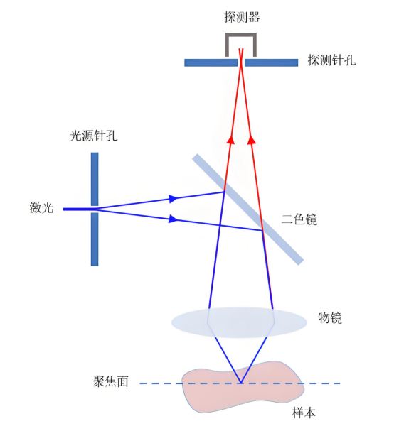 共聚焦显微镜原理图.png 共聚焦显微镜原理图.png