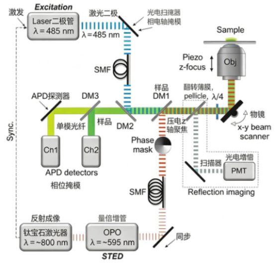 STED 显微镜光路图.png STED 显微镜光路图.png