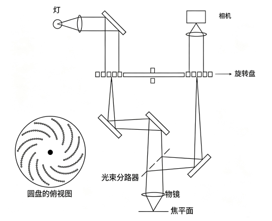 共焦显微镜构成.png