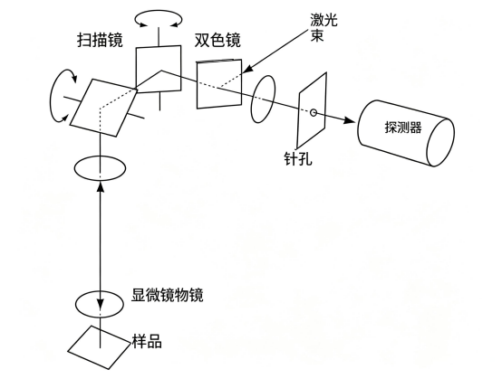 使用两个振镜来扫描物体。镜驱动装置由计算机控制，可扫描单条直线或矩形图案.png