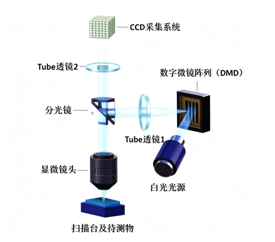 显微结构光测量系统图.png