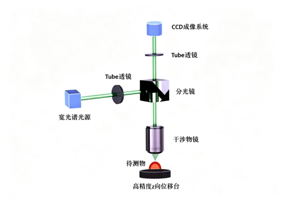 白光干涉仪测量原理.png