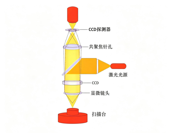 共聚焦显微镜测量原理.png